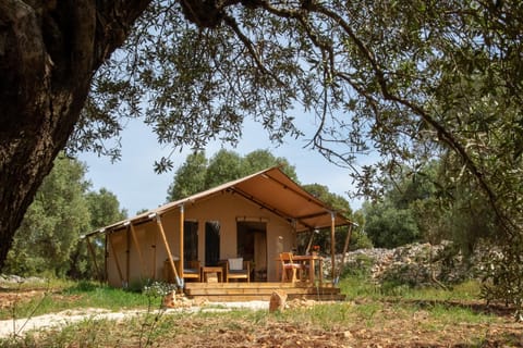 Domus Olea Glamping Tente de luxe in Ceglie Messapica