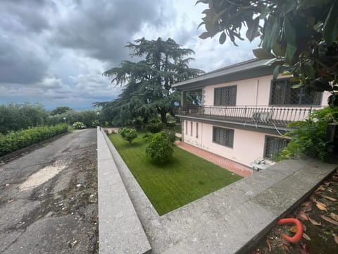 Garden, Mountain view