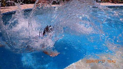 Day, Pool view, Swimming pool