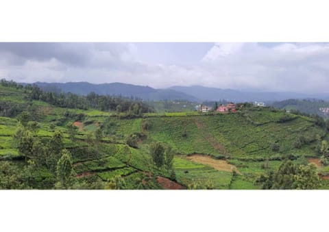 Nearby landmark, Day, Natural landscape, Garden, Mountain view