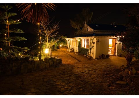 Property building, Night, Garden, Garden view