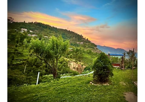 Nearby landmark, Spring, Natural landscape, Garden, Mountain view