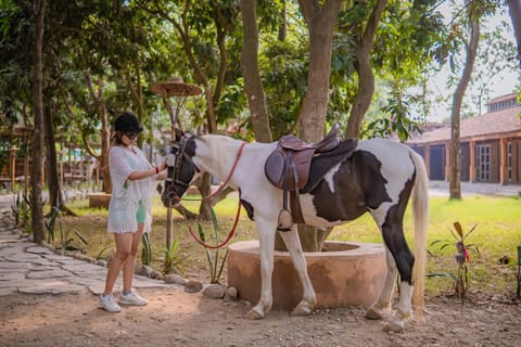 Horse-riding