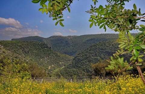 מצוקי גורן Chalet in North District