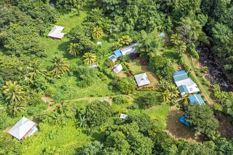 3 Rivers Eco Lodge Nature lodge in Dominica