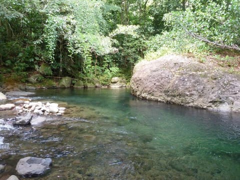 Swimming pool, Open Air Bath