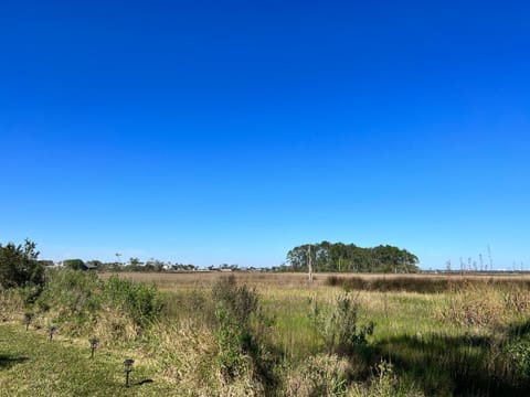 Manatee House-Private Marsh View Near Mayo and Jax Beaches House in Jacksonville