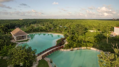 Platinum Yucatan Princess Adults Only - All Inclusive Resort in Playa del Carmen