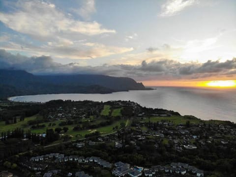 Enchanting Kauai Ocean View Retreat Maison in Princeville