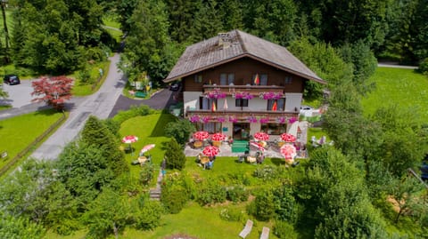 Bird's eye view, Summer