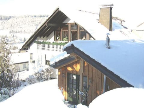 Winter, Garden, Balcony/Terrace, Garden view, Mountain view, Family