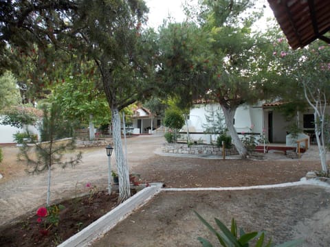 Peter's Village House in Messenia