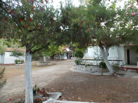 Peter's Village House in Messenia