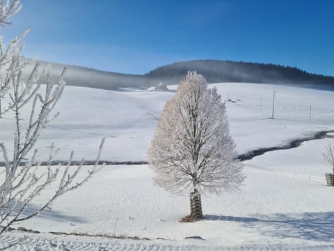 Natural landscape, Winter