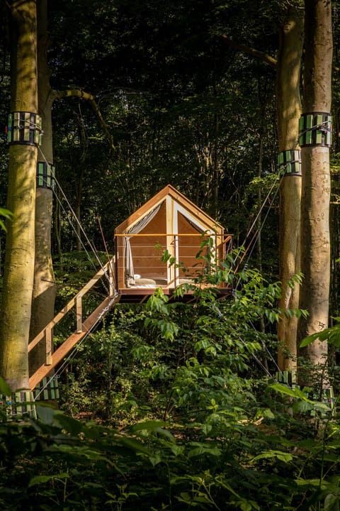 Treehouse 'Morgenrood' Ryckevelde 1451 Luxury tent in Bruges