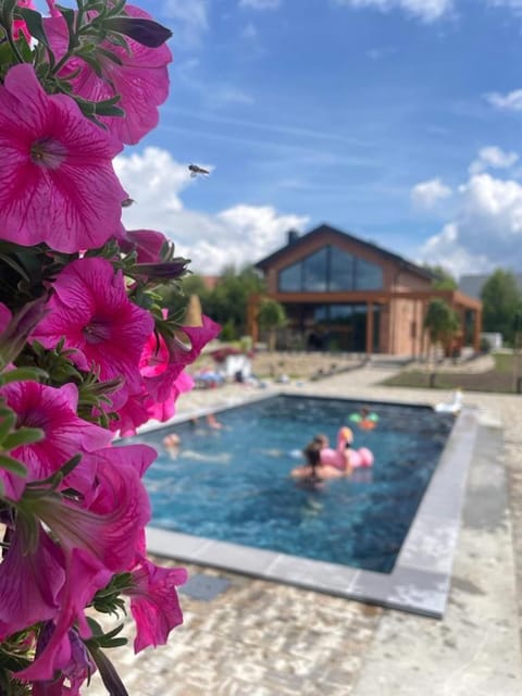 Garden view, Pool view, Swimming pool, sunbed