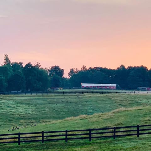 Spring, Natural landscape, Horse-riding, Sunset