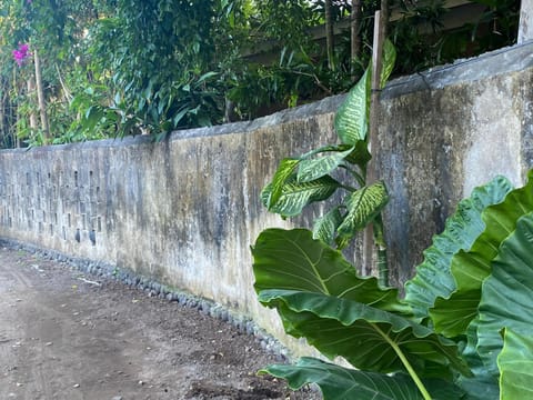 Facade/entrance, Day, Garden, Street view, Quiet street view, pet friendly