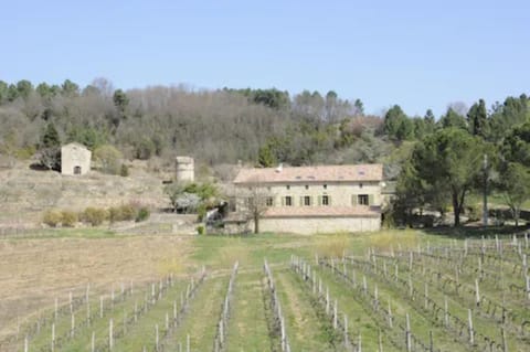 Property building, Natural landscape, Garden