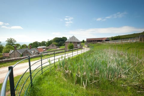 Spring, Day, Natural landscape