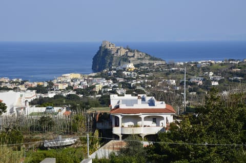U Campagnuolo Bed and Breakfast in Ischia