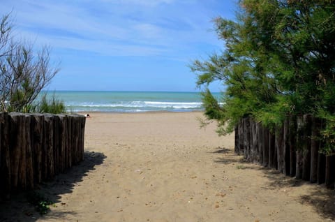 Beach, Sea view