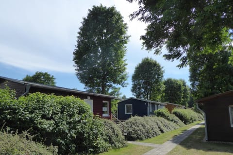 Area and facilities