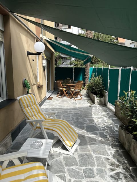 Patio, Day, Garden, sunbed