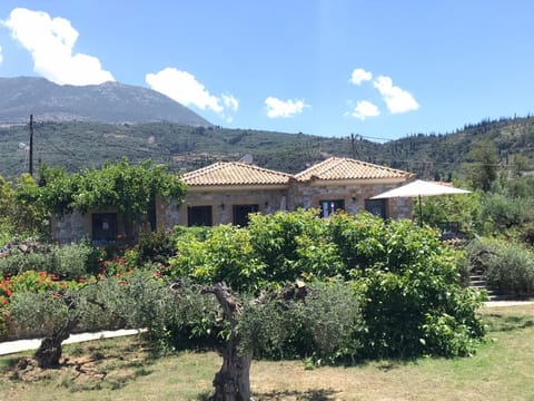 Villa Pefnos Casa in Messenia