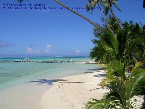 Snorkeling, Beach, Canoeing