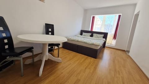 Studio Chic Symphony parcare privata Apartment in Timiș County