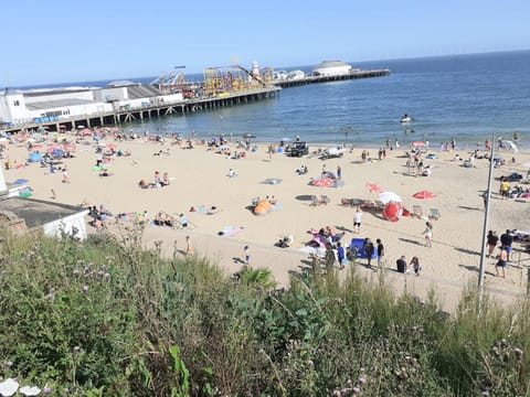 The Bee Hive - Oaklands House in Clacton-on-Sea