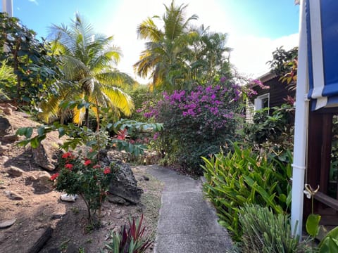 Petite Maison Petit-Anse Bouillante House in Bouillante