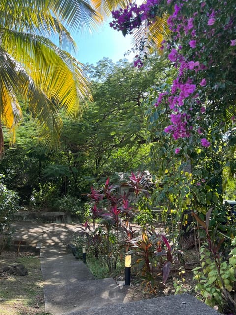 Petite Maison Petit-Anse Bouillante House in Bouillante