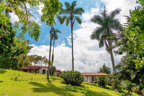 Property building, Natural landscape