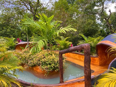 Garden, Garden, Hot Spring Bath