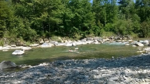 Day, Natural landscape, River view