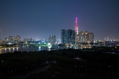 Night, City view, River view