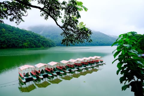 Nearby landmark, Spring, Day, Natural landscape, Lake view