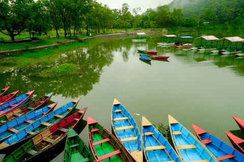 Nearby landmark, Spring, Day, Natural landscape, Activities, Lake view