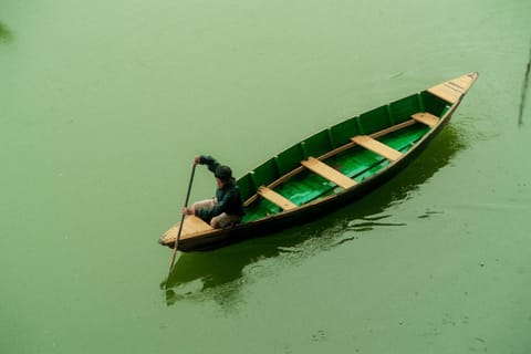 Natural landscape, Activities, Lake view