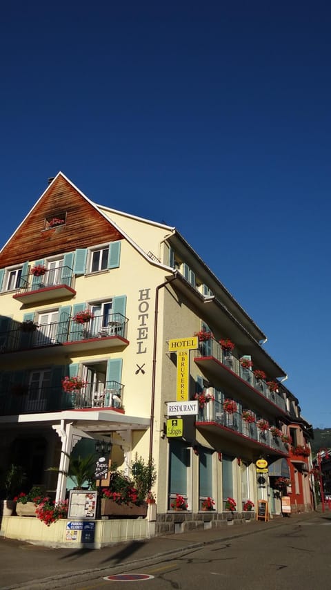 Hôtel aux Bruyères Hotel in Orbey