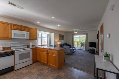 Walk-In Lake View Condo - Near Silver Dollar City - Free Attraction Tickets Included - WP10-3 Casa in Indian Point