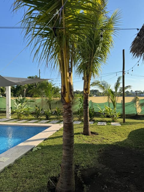 Natural landscape, Garden view, Swimming pool