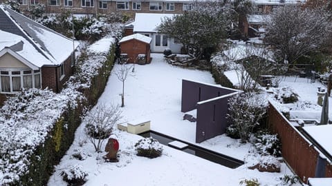 Winter, Garden, Garden