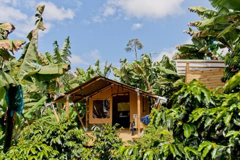 Natural landscape, Garden view