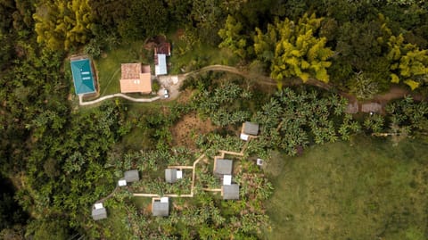 Garden, Floor plan, Inner courtyard view