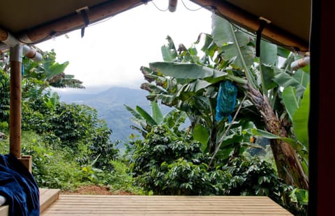 Natural landscape, Garden view, Mountain view