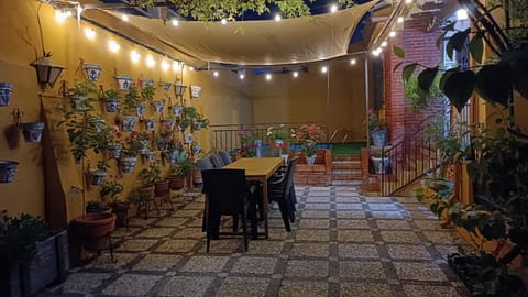 Patio, Night, Garden, Garden view