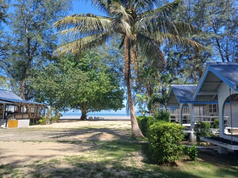 Natural landscape, Garden view